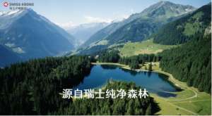 瑞士盧森家具板材：安全環保的選擇!